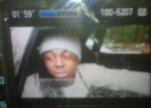 wayne-free